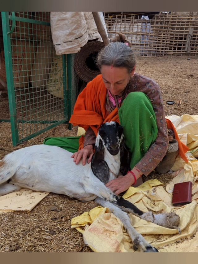 Vrajasevika mit Namruci2