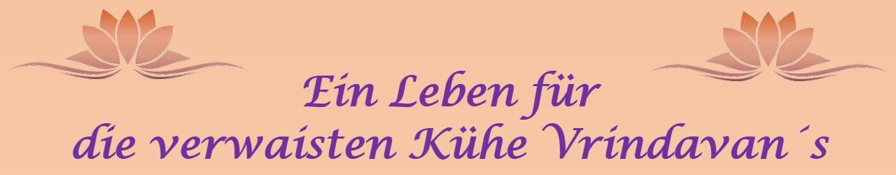 Projekt Kuhfürsorge